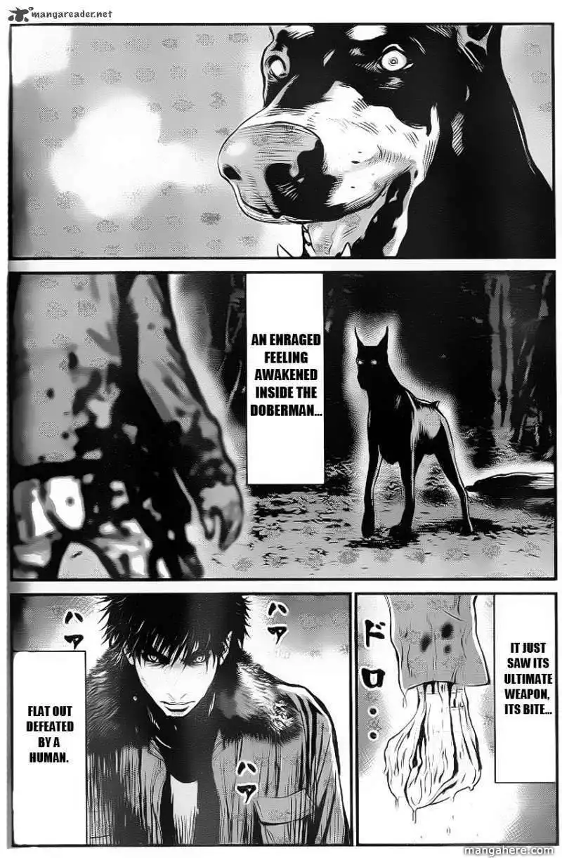 Wolf Guy - Ookami no Monshou Chapter 89 16